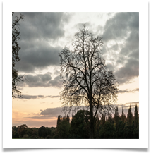Autumn Dusk - Chris Berg